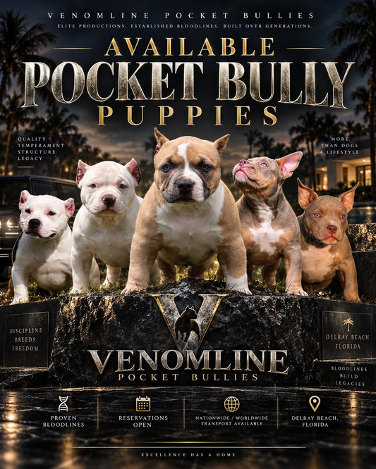 $1,000 Puppy Reservation Deposit