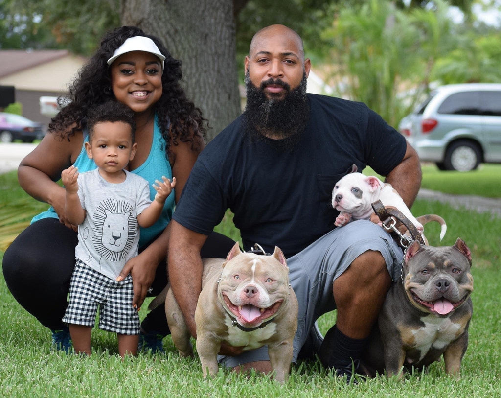 TOP AMERICAN BULLY BREEDING | VENOM X SWIZZ-Venomline | Texas Size Bullies | Top Pocket Bully Kennel