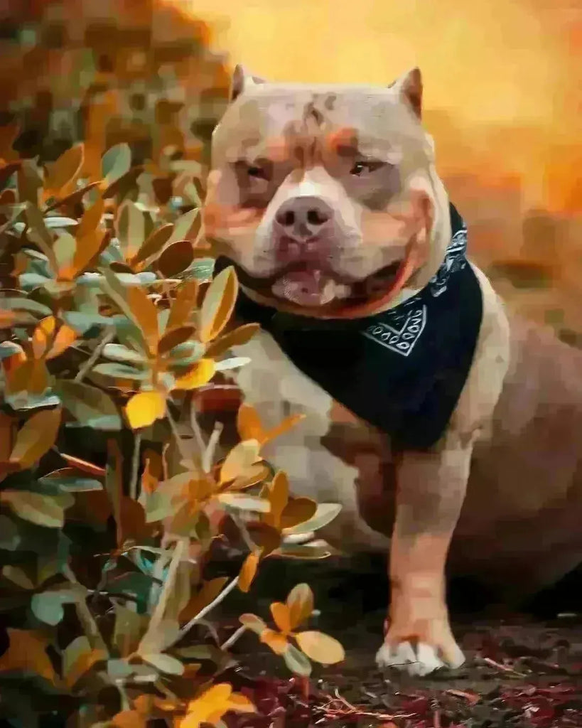 American Bully Breeding Guide 2025: The Complete “Breeding 101” for Beginners & Pros-Venomline | Top Pocket American Bully Breeder