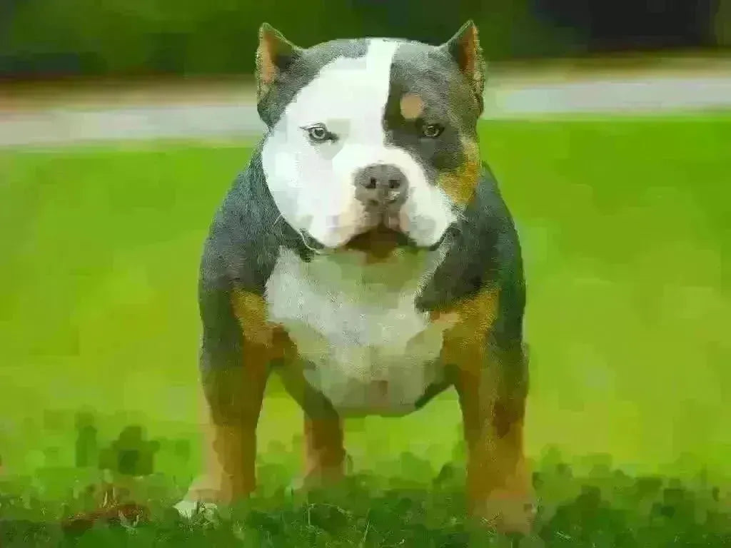The 2025 Pocket Bully Buyer’s Guide: Prices, Deposits & What to Expect-Venomline | Texas Size Bullies | Top Pocket Bully Kennel
