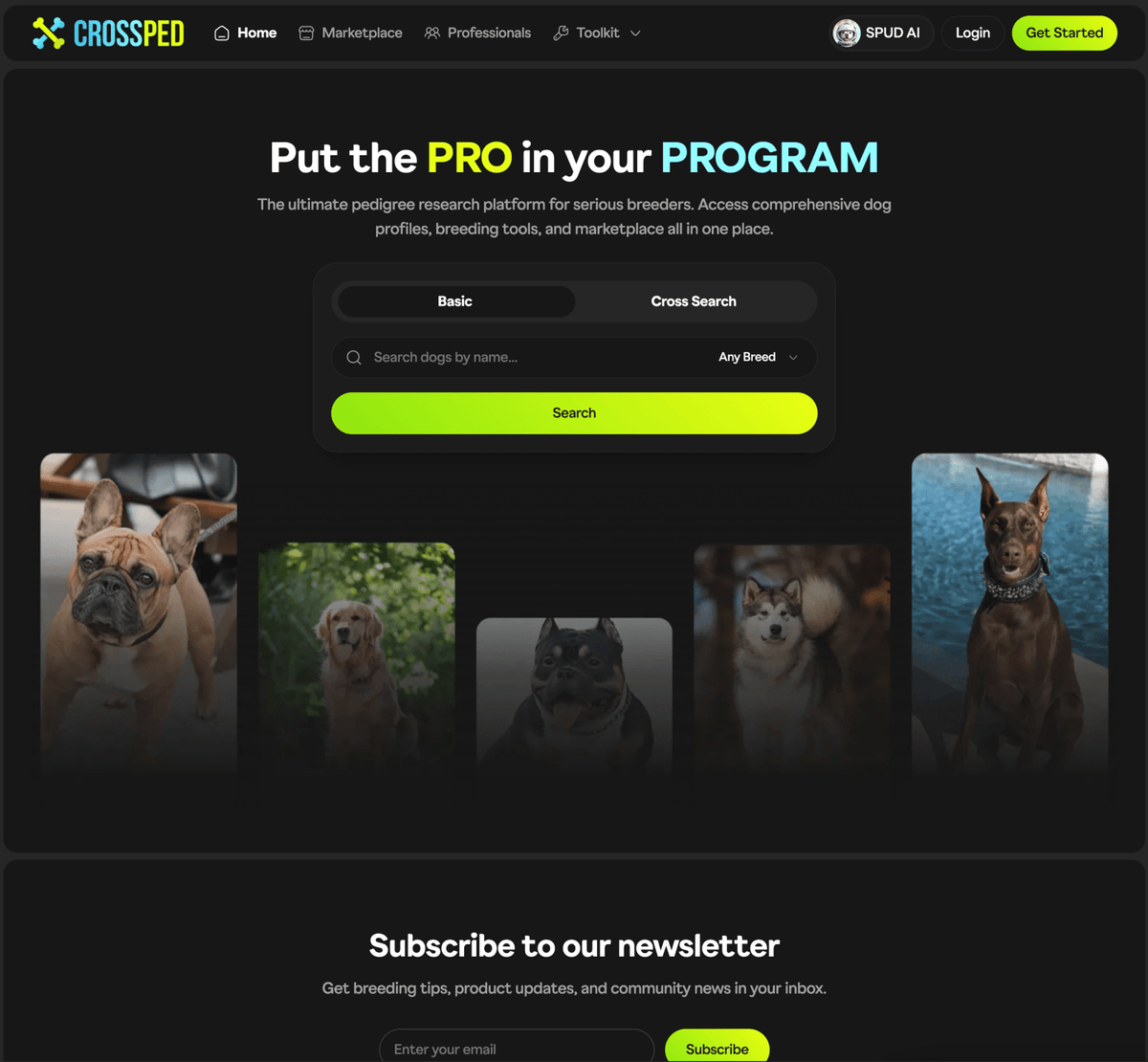 The Best Pedigree Database for American Bully in 2026?