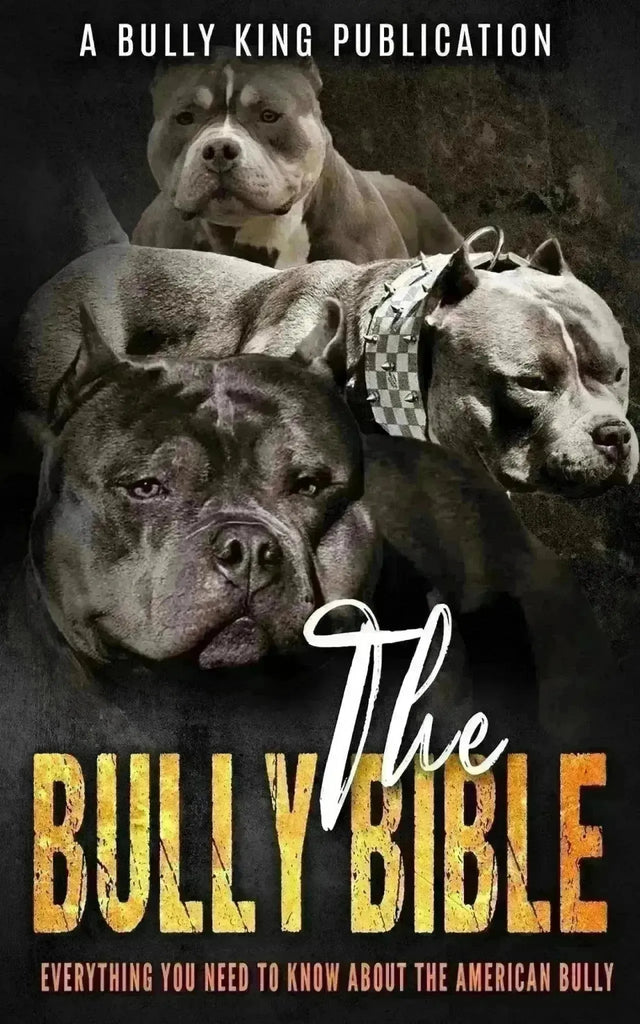 The BULLY BIBLE: Everything You Need to Know about the American Bully Breed-Venomline | Texas Size Bullies | Top Pocket Bully Kennel
