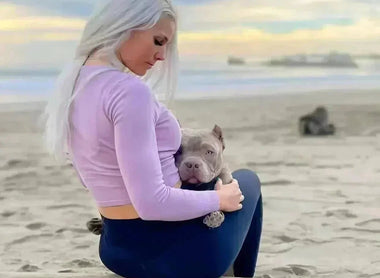 Pocket Bully Weight Chart by Age | Puppy Growth Guide