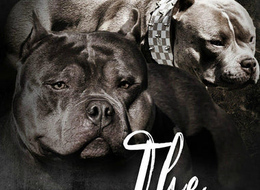 The BULLY BIBLE: Everything You Need to Know about the American Bully Breed