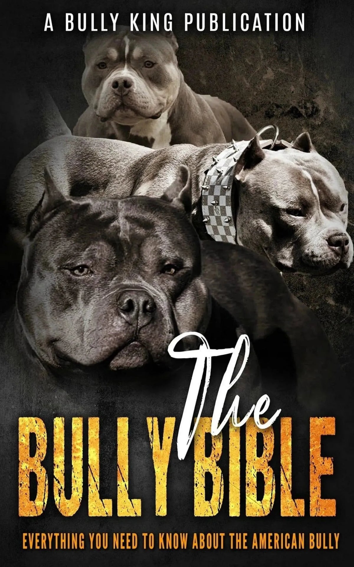 Original cover artwork for The Bully Bible, an American Bully book authored by Matt Siebenthal and published by BULLY KING Magazine in 2017.