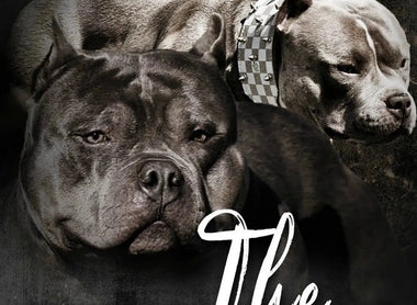 The BULLY BIBLE: Everything You Need to Know about the American Bully Breed