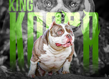 American Bully Stud Services Guide 2025: Top Venomline Studs