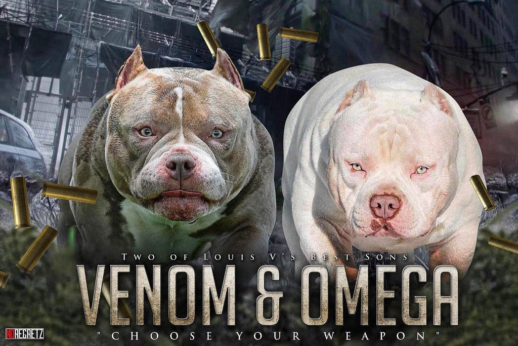 #1_bully_studs_venomline_venom_omega