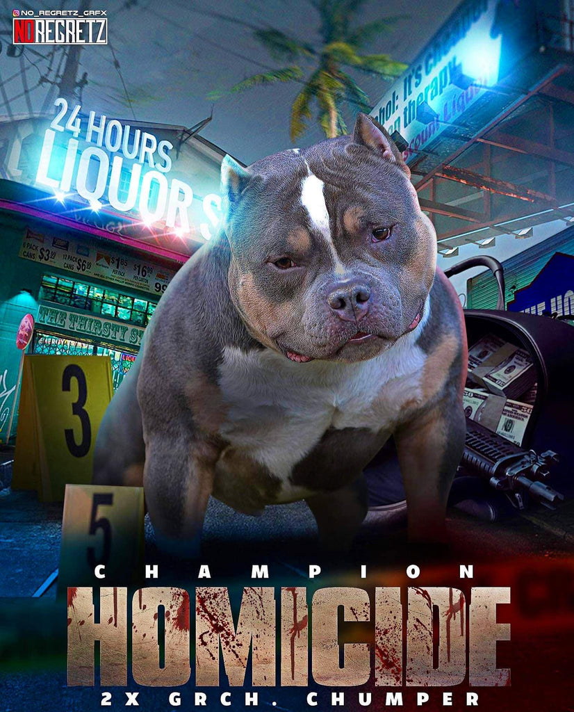 ABKC Champion Homicide Stud Credit | Paid In Full Discount