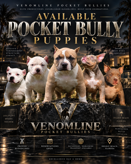$1,000 Puppy Reservation Deposit