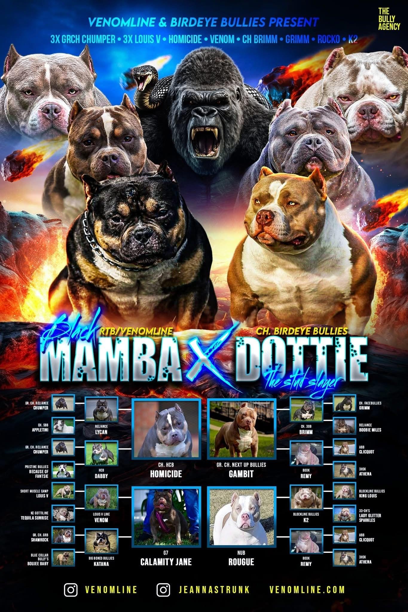 $1,000 Puppy Reservation Deposit