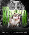 King Koopa best American Bully stud by Venomline – compact Pocket Bully frame, heavy muscle, thick chest and elite Venom bloodline stud service