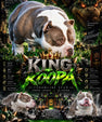 King Koopa Pocket Bully Stud Service