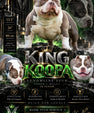 King Koopa Pocket Bully Stud Service
