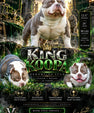 King Koopa Pocket Bully Stud Service