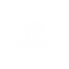 Venomline Pocket Bully Kennels — Extreme Build Pocket American Bullies, ABKC Champion bloodline breeders of Pocket Bully puppies and top American Bully studs